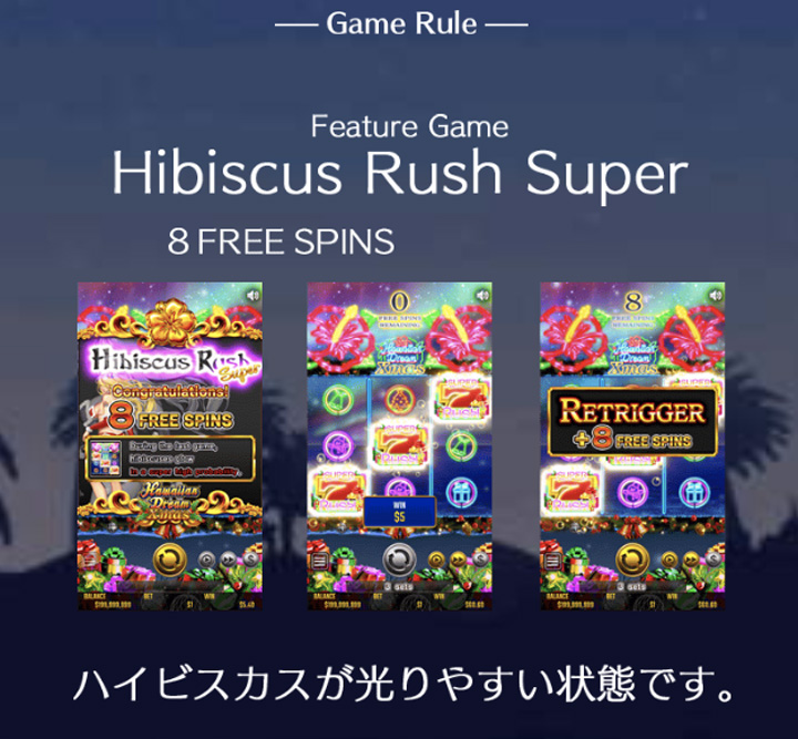 bons_hibiscus rush super