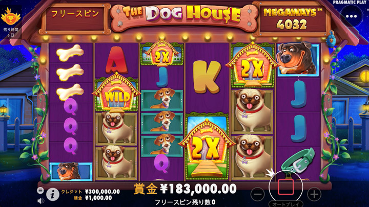 bons The-Dog-House-Megaways-free-spin-win